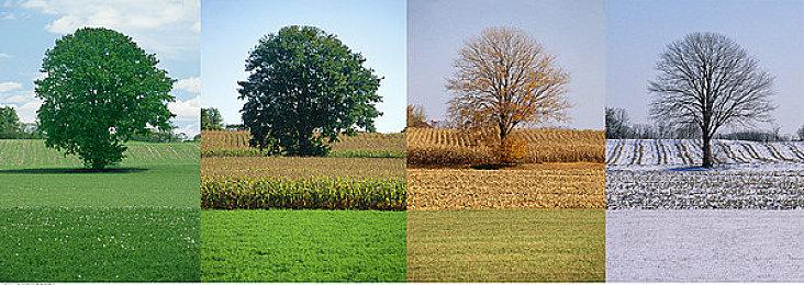 冰山一角 《艾尔登法环》测试版地图或只有全部的13%